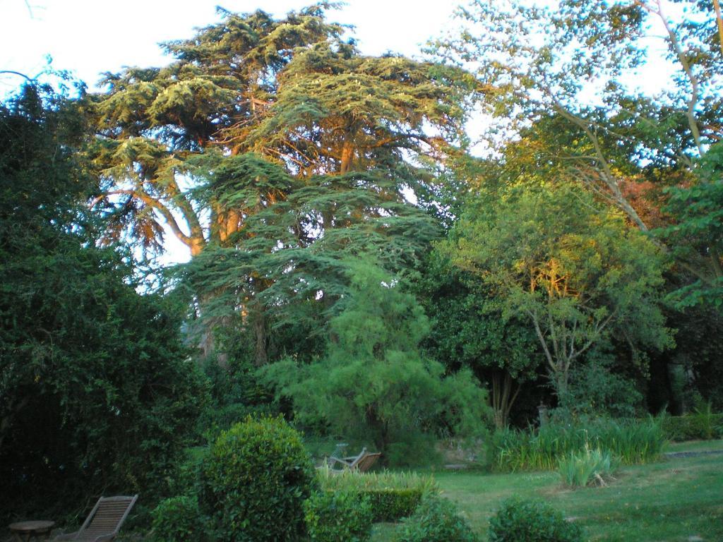 Manoir De Boisairault Bed & Breakfast Le Coudray-Macouard Exterior photo