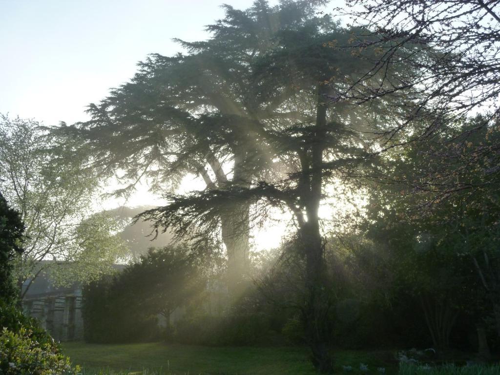 Manoir De Boisairault Bed & Breakfast Le Coudray-Macouard Exterior photo