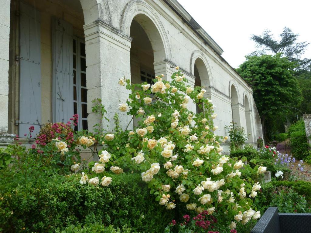 Manoir De Boisairault Bed & Breakfast Le Coudray-Macouard Exterior photo